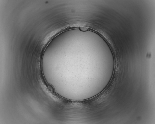 X0000115290437200911161637