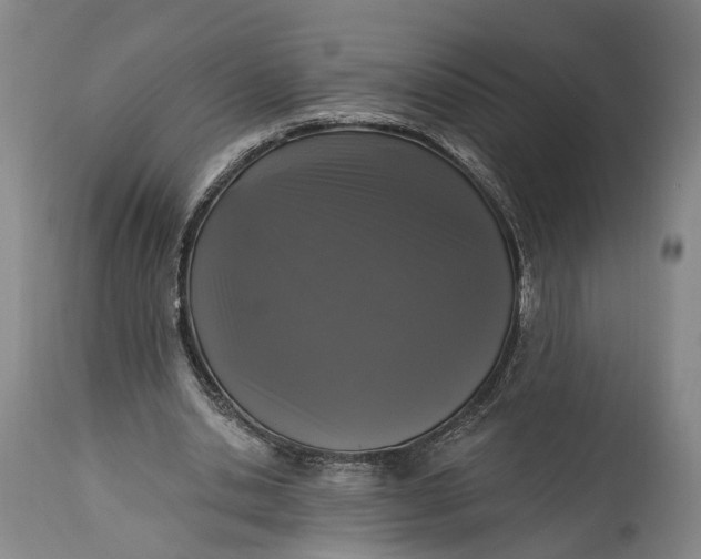 X0000115290438200911161637