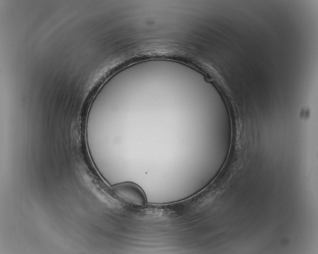 X0000115290439200911161637