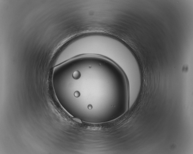 X0000115290440200911161637