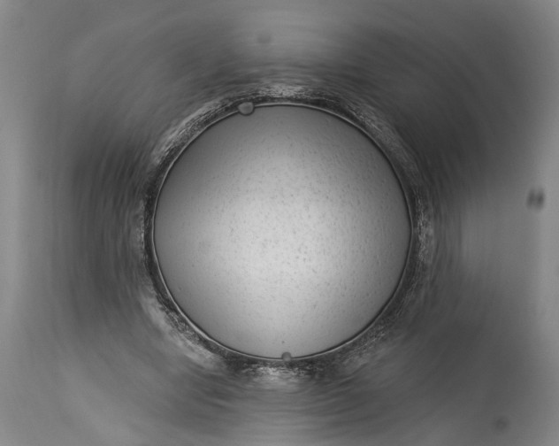 X0000115290442200911161637