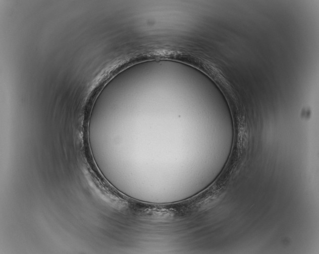 X0000115290443200911161637