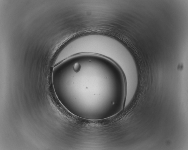 X0000115290444200911161638