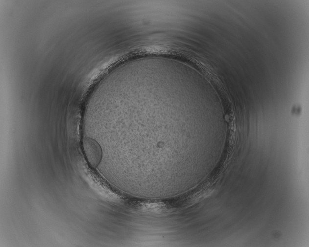 X0000115290446200911161638