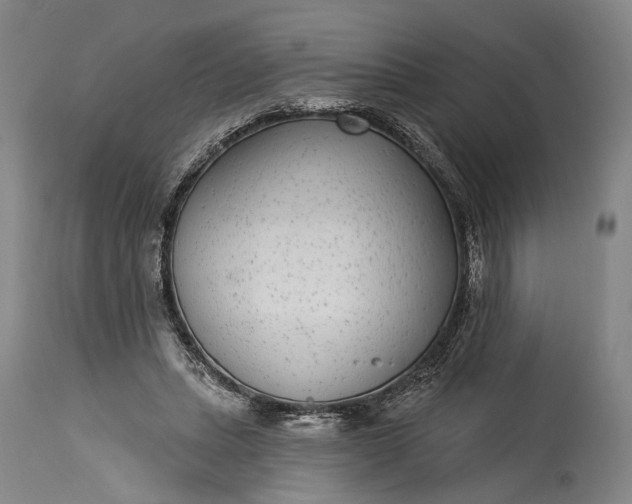 X0000115290447200911161638