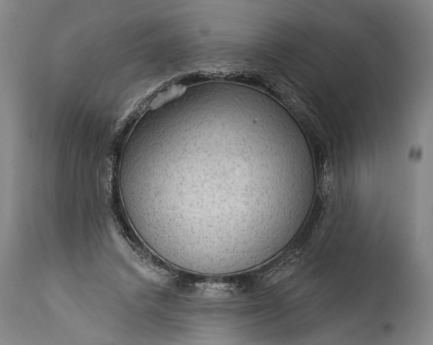 X0000115290448200911161638