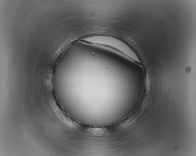 X0000115290449200911161638