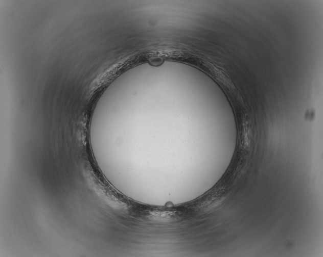 X0000115290450200911161638
