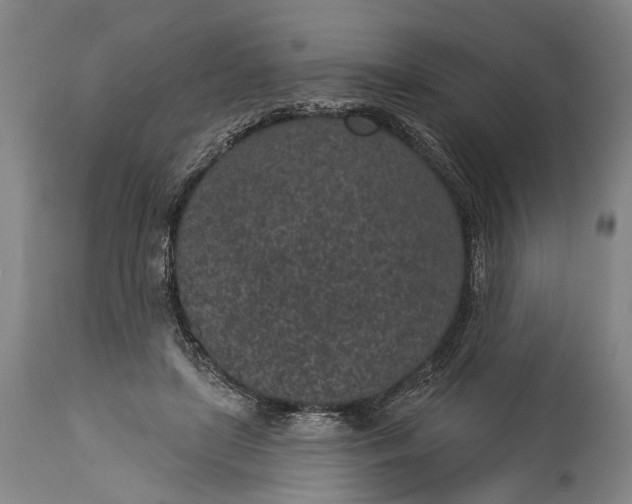 X0000115290451200911161638