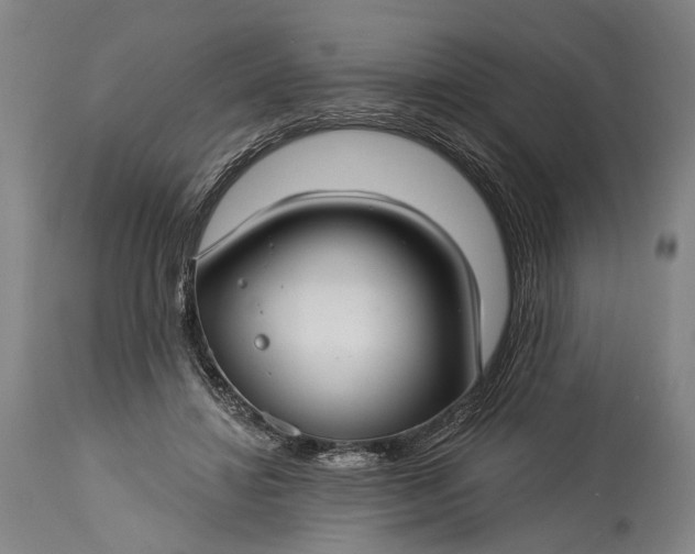 X0000115290452200911161638