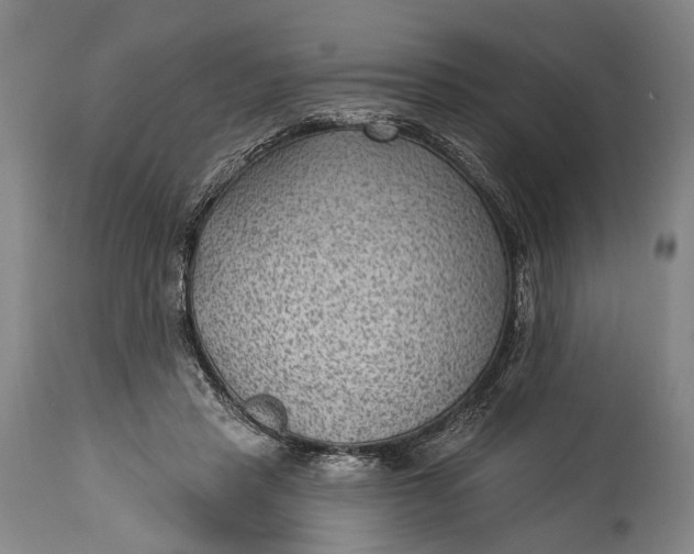 X0000115290453200911161638