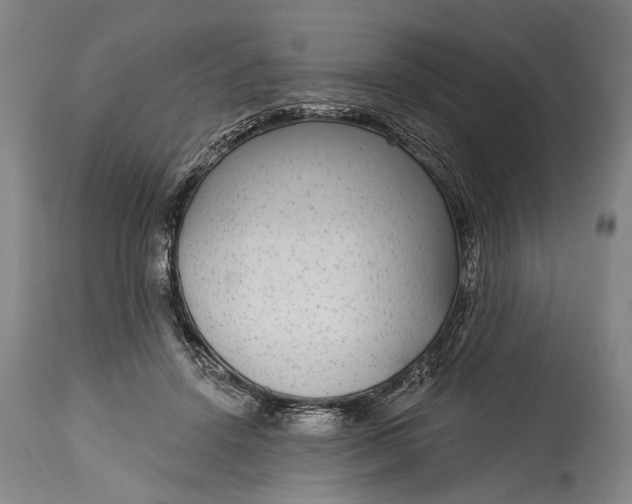 X0000115290456200911161638