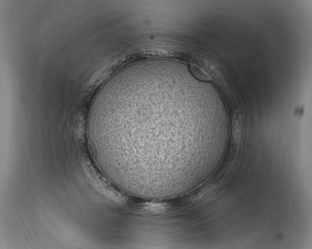 X0000115290457200911161638