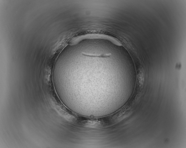 X0000115290458200911161638