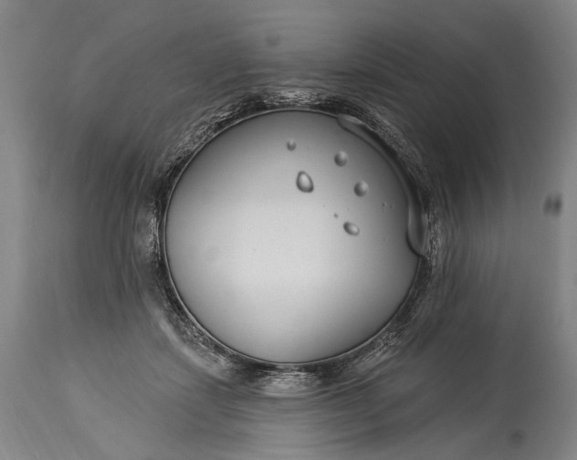 X0000115290459200911161638