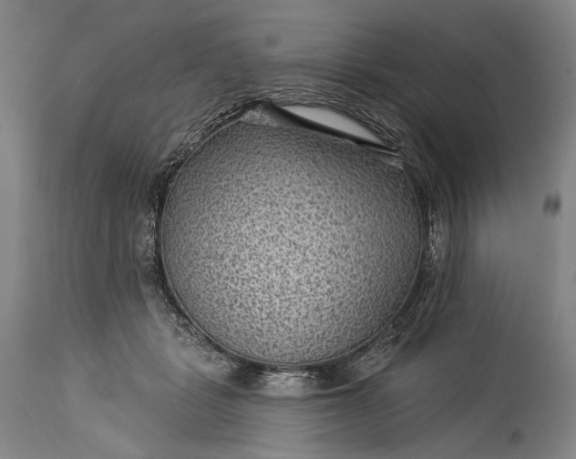 X0000115290461200911161638