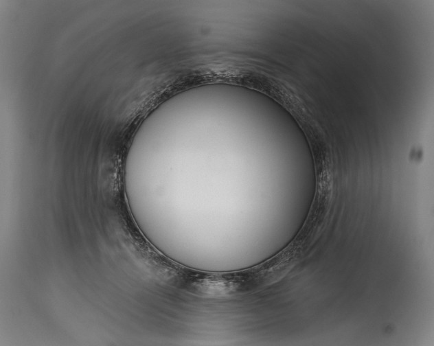 X0000115290464200911161638