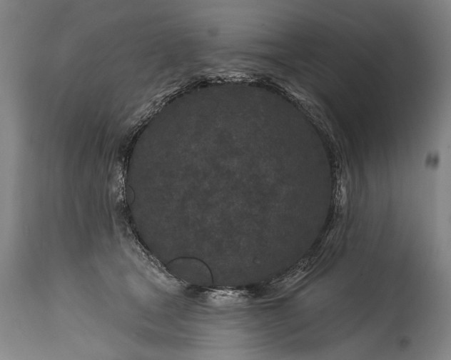 X0000115290465200911161638