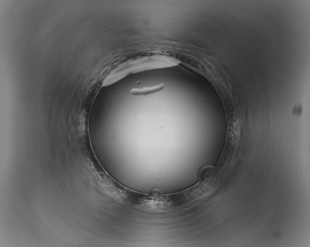 X0000115290466200911161638