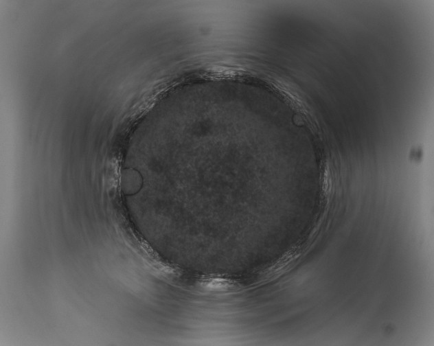 X0000115290467200911161638