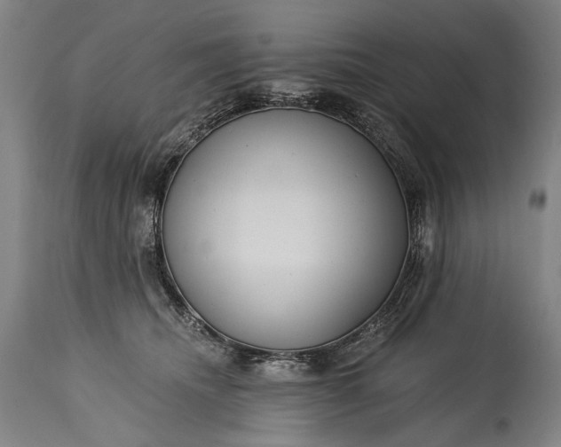 X0000115290468200911161638