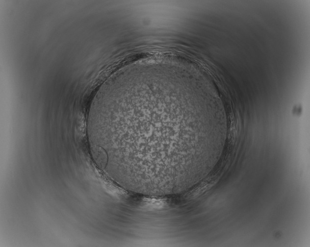 X0000115290469200911161638