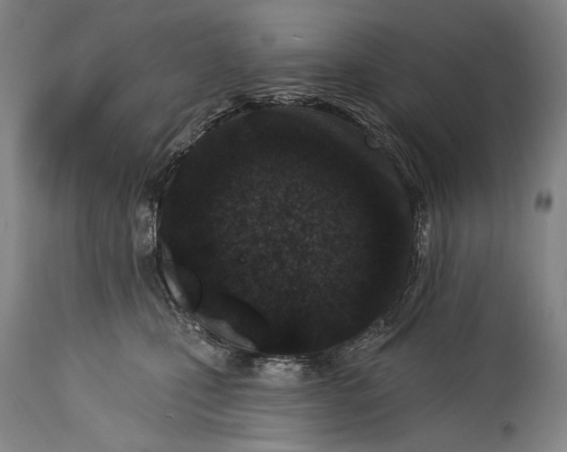 X0000115290471200911161638