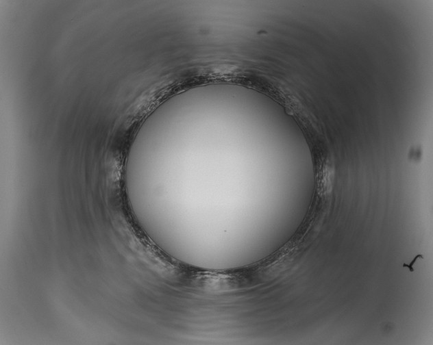 X0000115290472200911161638