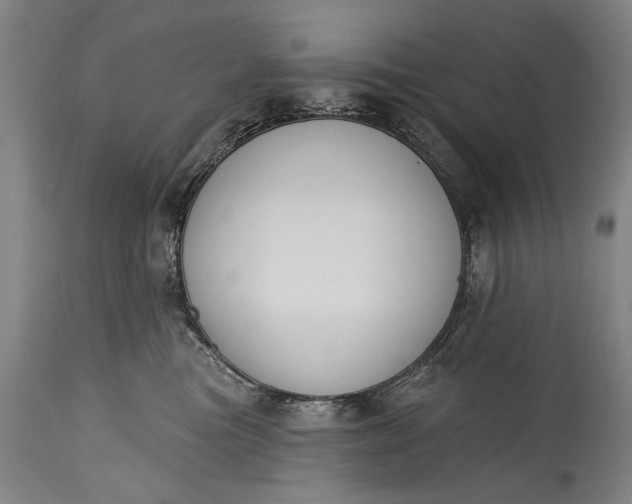 X0000115290473200911161638