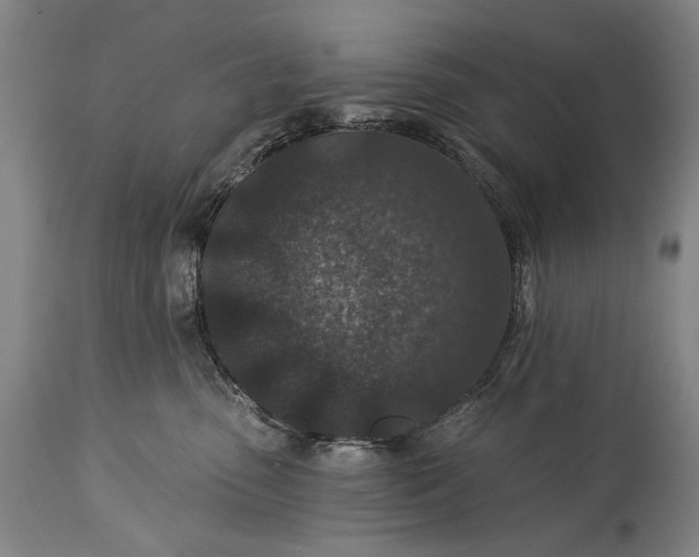 X0000115290475200911161638
