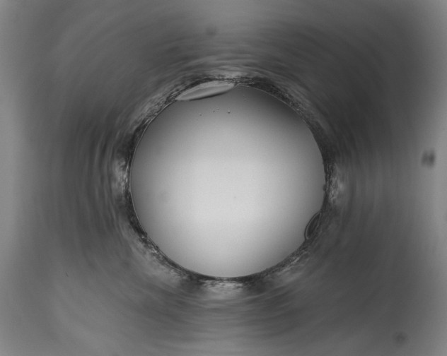 X0000115290476200911161638