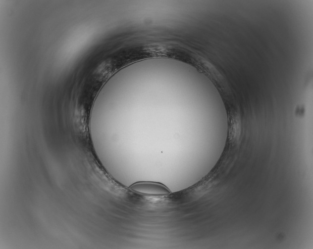 X0000115290477200911161638