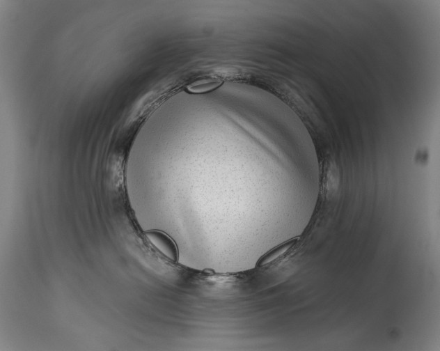 X0000115290478200911161638