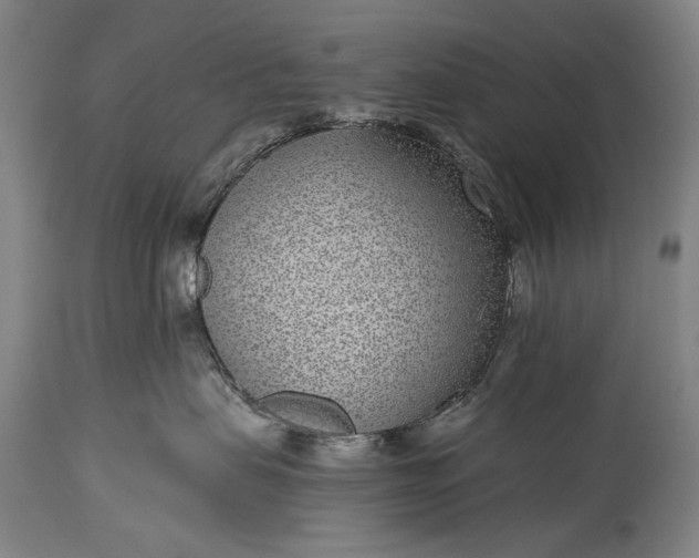 X0000115290479200911161638