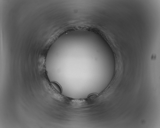 X0000115290480200911161638