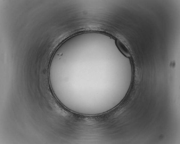 X0000115290481200911161637