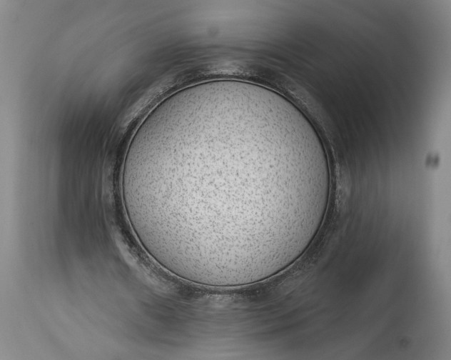 X0000115290482200911161637