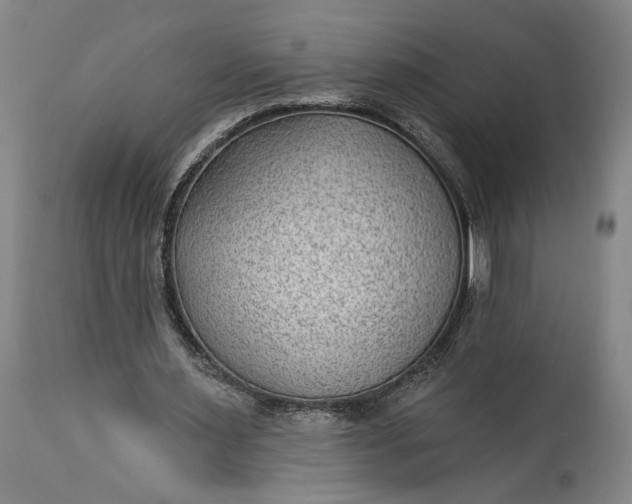 X0000115290483200911161637
