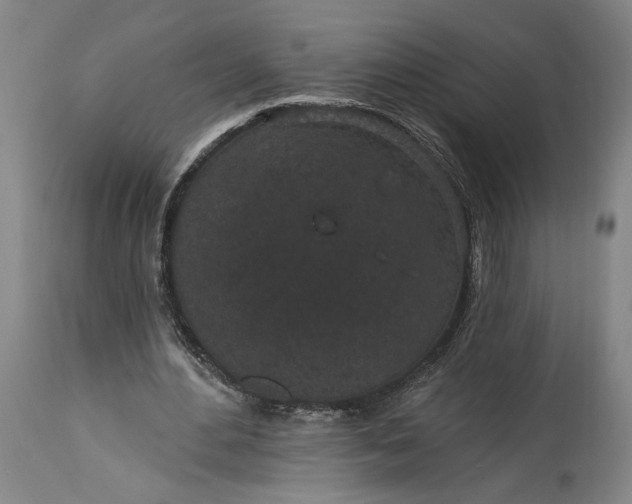 X0000115290484200911161637