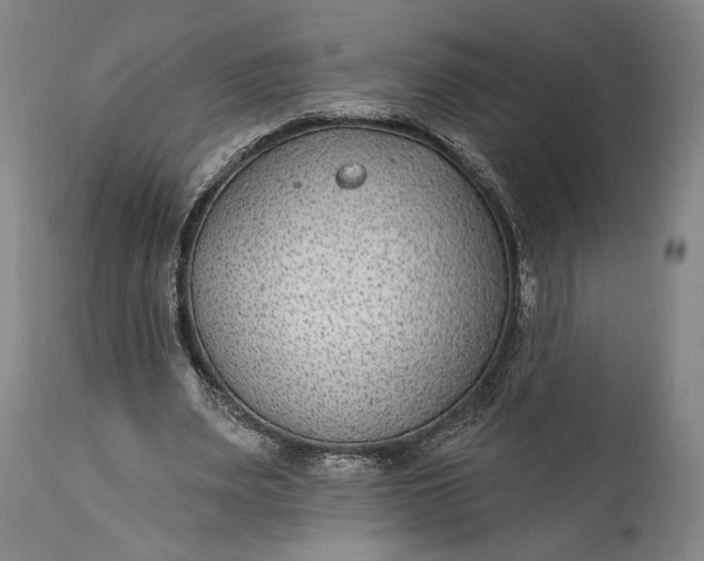 X0000115290487200911161637