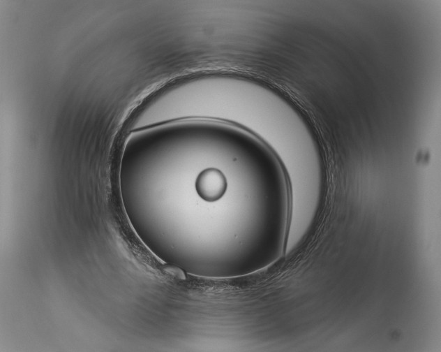 X0000115290488200911161637