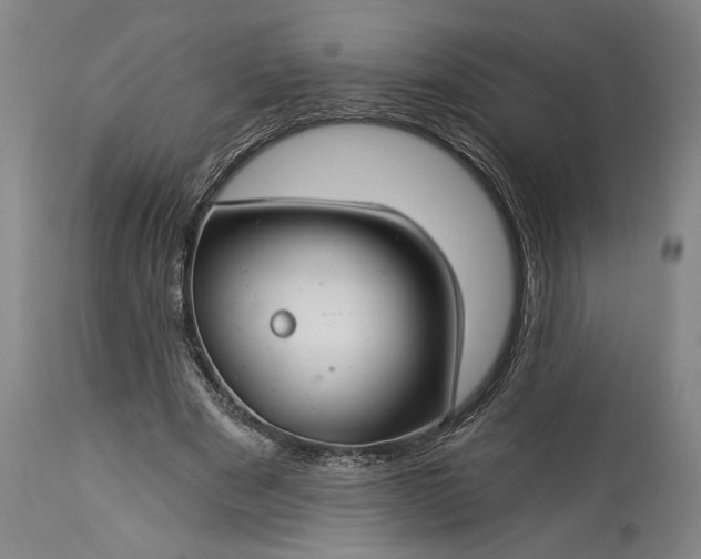 X0000115290489200911161637