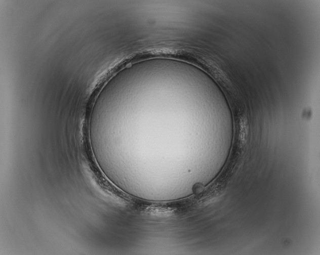 X0000115290491200911161637