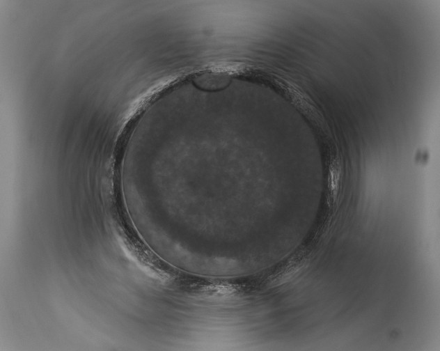X0000115290492200911161637