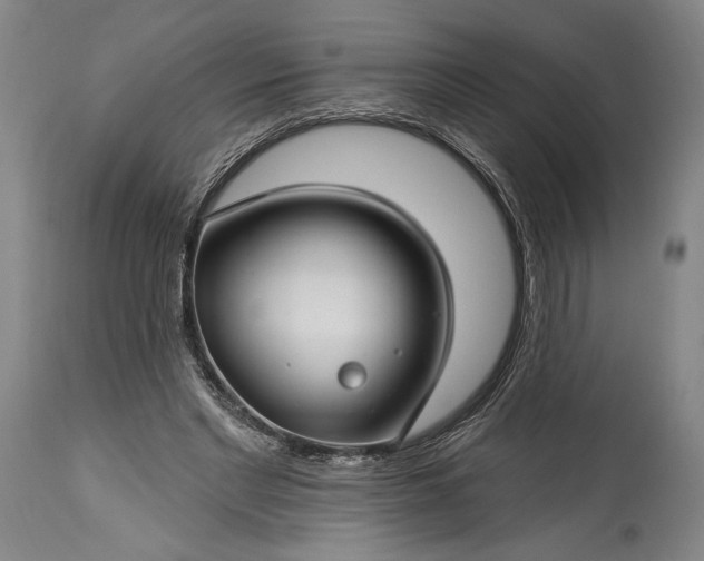 X0000115290493200911161637