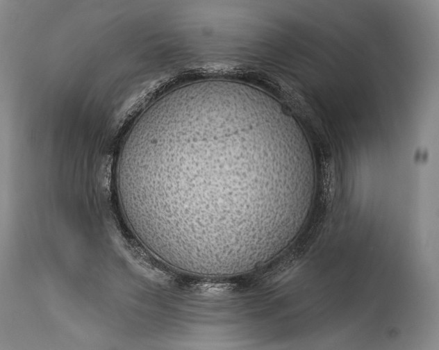 X0000115290495200911161637