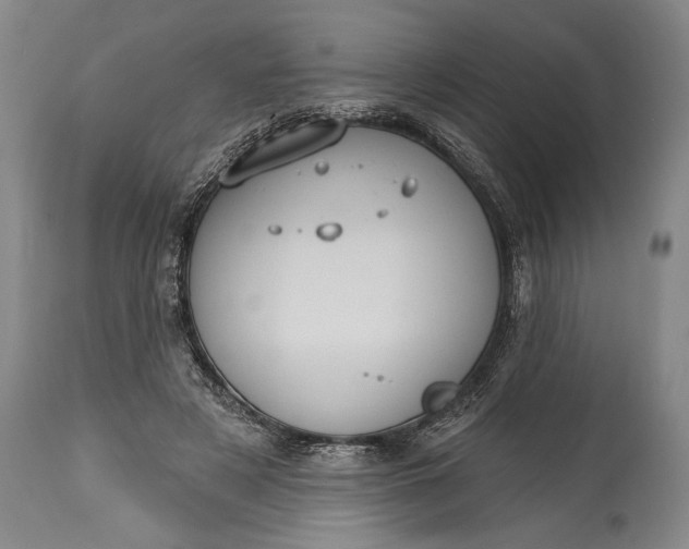 X0000115290497200911161637