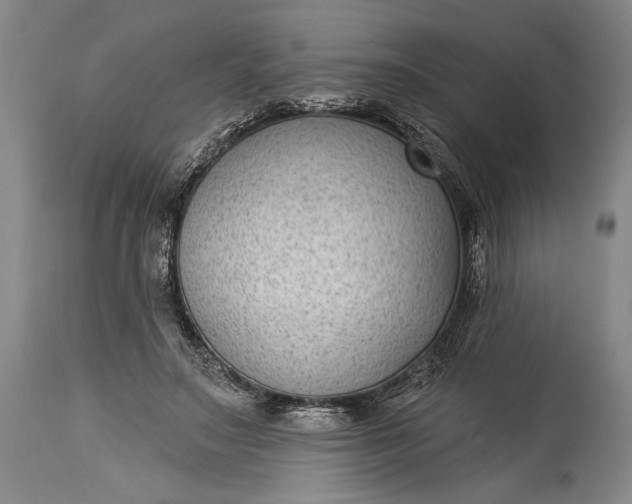 X0000115290499200911161637