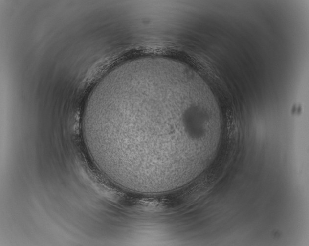X0000115290502200911161637
