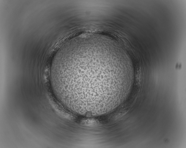 X0000115290503200911161637